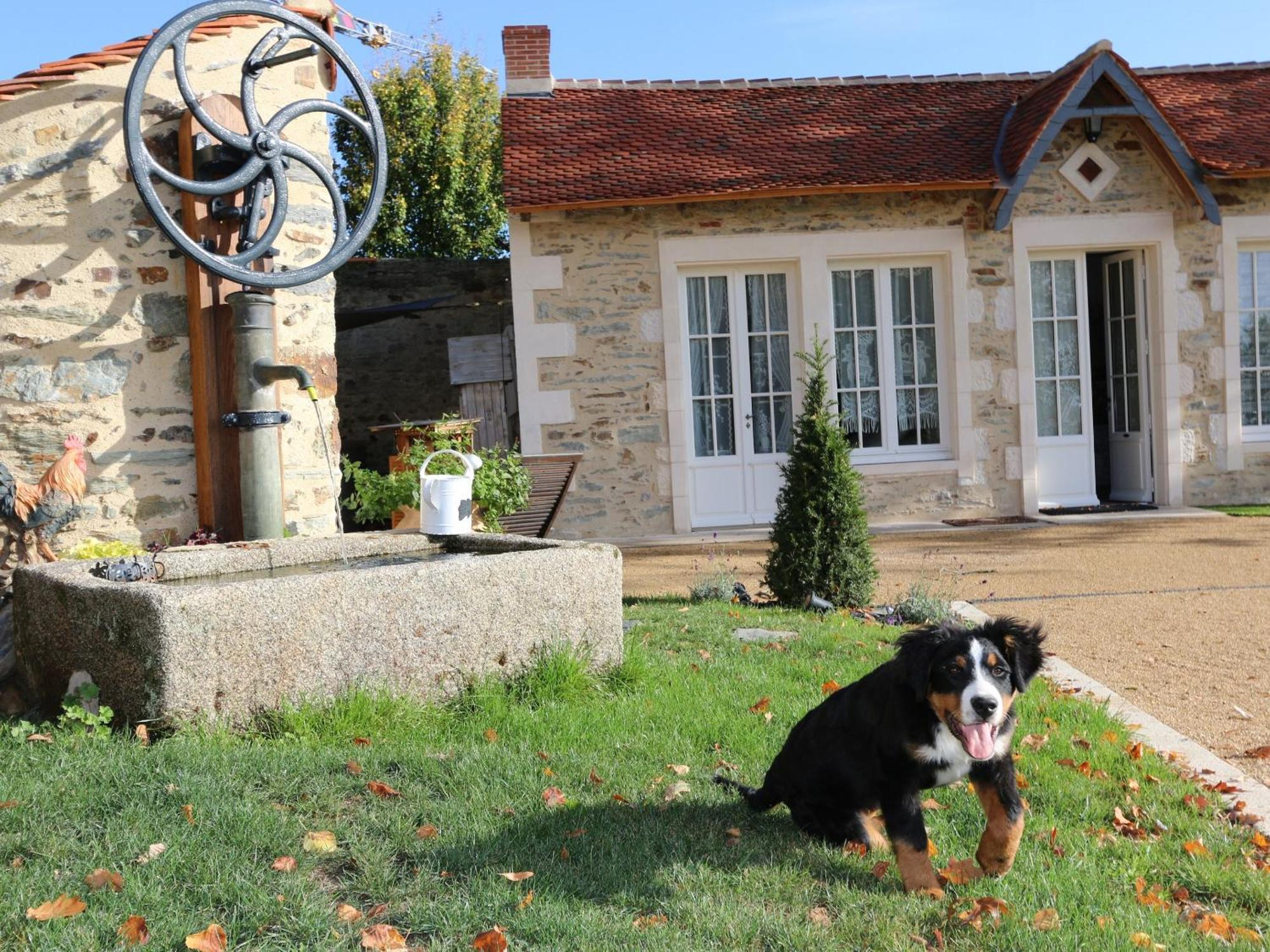 Gite L'Orangerie Villa Mouchamps Kültér fotó